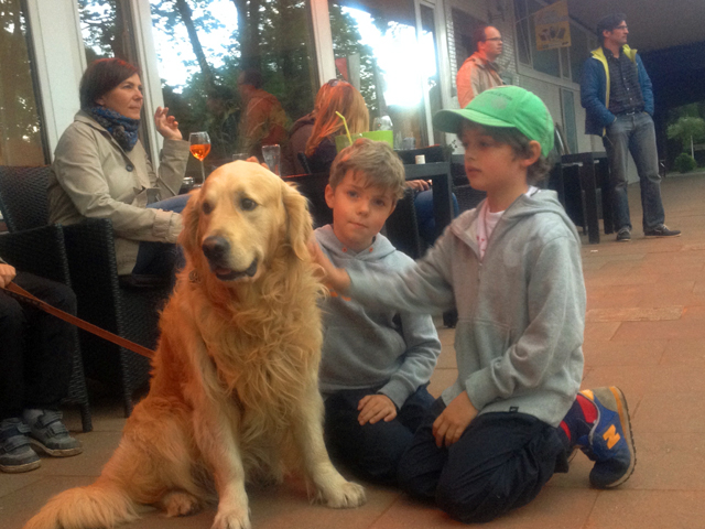 Hunde sind in unserem Club als Zuschauer - nicht als Balljungen - herzlich willkommen